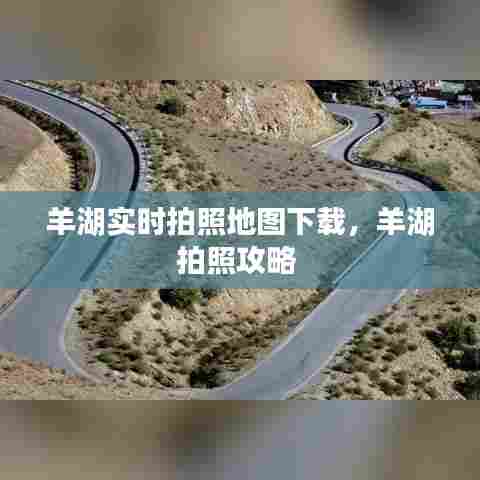 鸟入樊笼 第7页