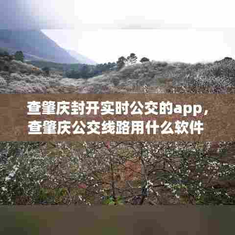查肇庆封开实时公交的app，查肇庆公交线路用什么软件 