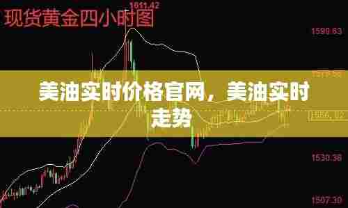 美油实时价格官网，美油实时走势 