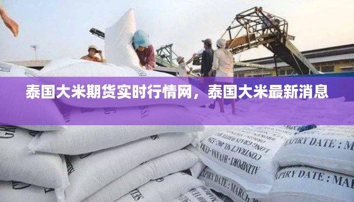 泰国大米期货实时行情网，泰国大米最新消息 