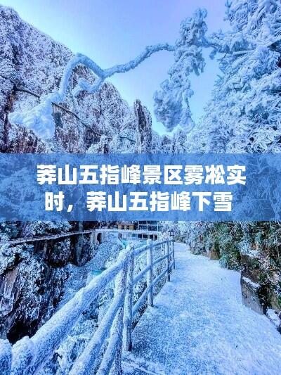 莽山五指峰景区雾凇实时，莽山五指峰下雪 