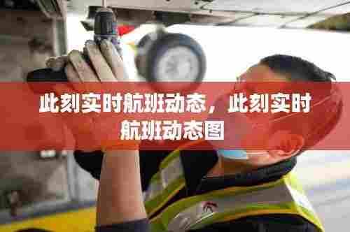 此刻实时航班动态，此刻实时航班动态图 