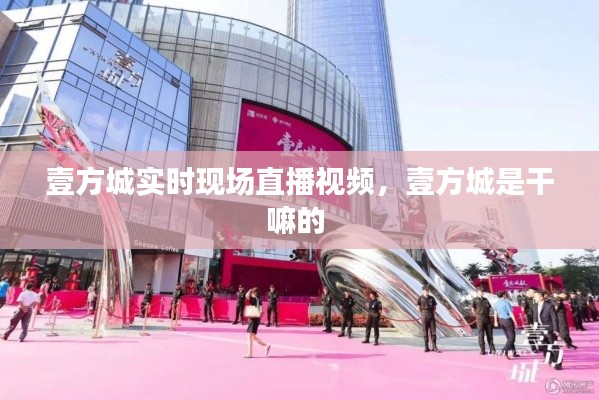 壹方城实时现场直播视频，壹方城是干嘛的 