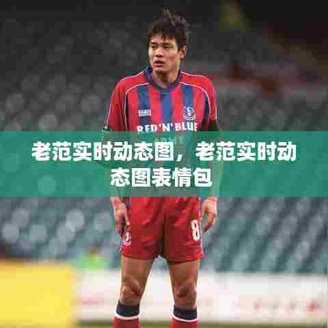 老范实时动态图，老范实时动态图表情包 