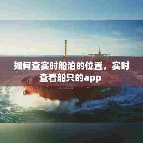 如何查实时船泊的位置，实时查看船只的app 