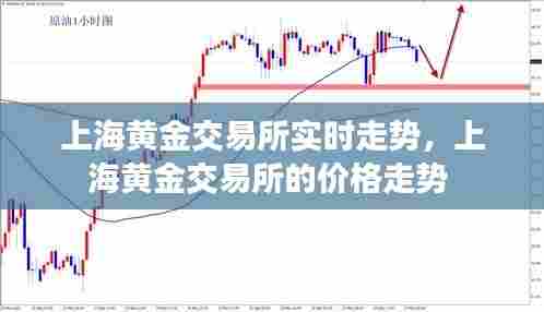 上海黄金交易所实时走势，上海黄金交易所的价格走势 