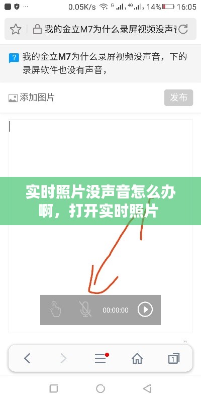 实时照片没声音怎么办啊，打开实时照片 