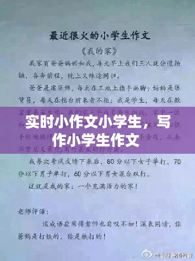 实时小作文小学生，写作小学生作文 