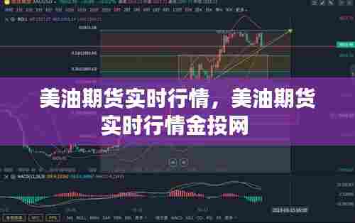 美油期货实时行情，美油期货实时行情金投网 