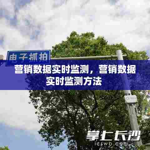 营销数据实时监测，营销数据实时监测方法 