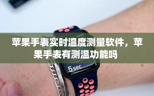 苹果手表实时温度测量软件，苹果手表有测温功能吗 