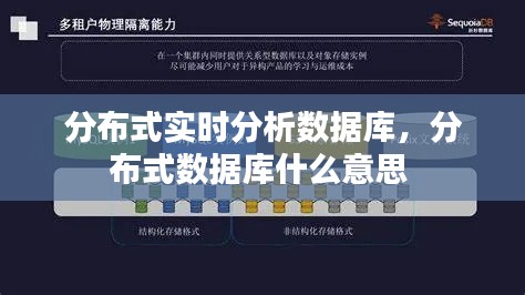分布式实时分析数据库，分布式数据库什么意思 