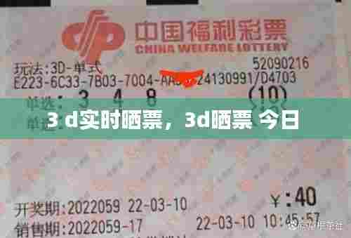 3 d实时晒票，3d晒票 今日 