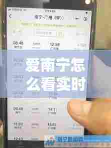 爱南宁怎么看实时电费，南宁怎么查电费 