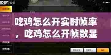 吃鸡怎么开实时帧率，吃鸡怎么开帧数显示手游 