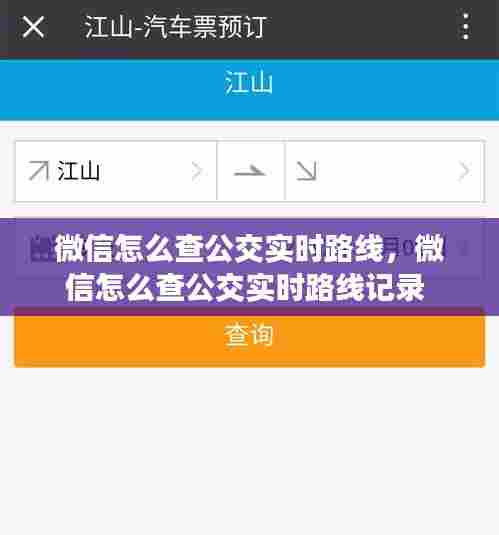 微信怎么查公交实时路线，微信怎么查公交实时路线记录 