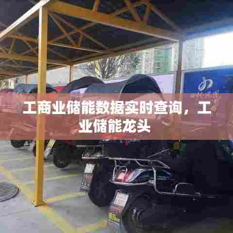 工商业储能数据实时查询，工业储能龙头 