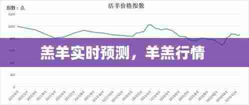 羔羊实时预测，羊羔行情 