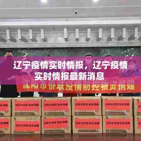辽宁疫情实时情报，辽宁疫情实时情报最新消息 