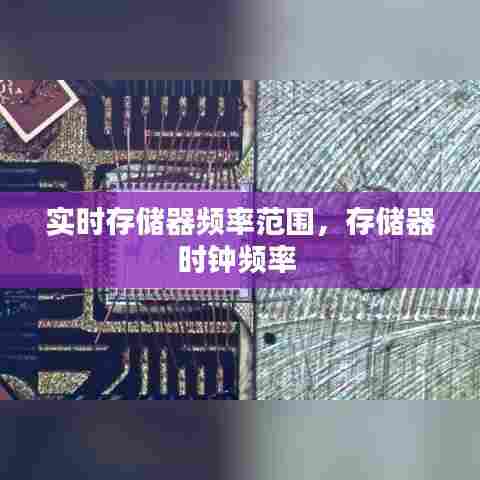 实时存储器频率范围，存储器时钟频率 