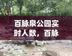 百脉泉公园实时人数，百脉泉公园好玩吗 