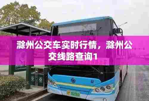 滁州公交车实时行情，滁州公交线路查询1 