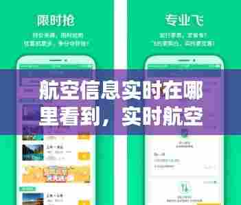 航空信息实时在哪里看到，实时航空信息查询 