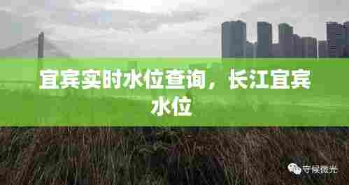 宜宾实时水位查询，长江宜宾水位 