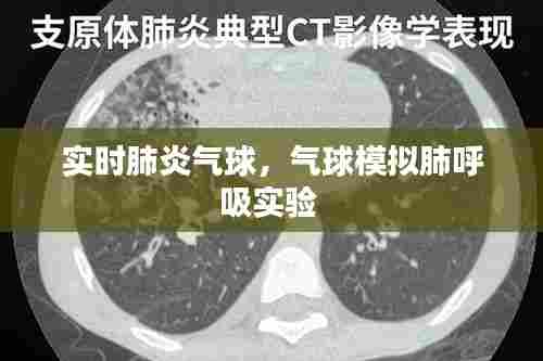 实时肺炎气球，气球模拟肺呼吸实验 