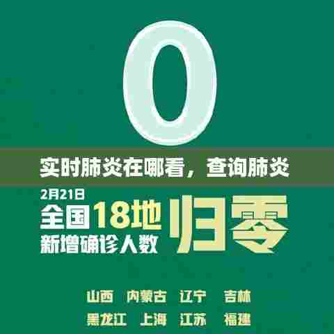 实时肺炎在哪看，查询肺炎 