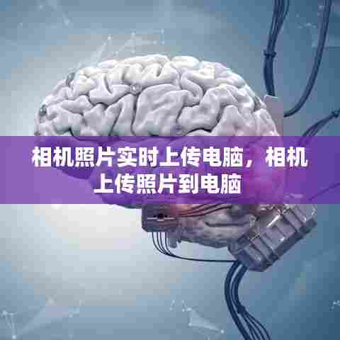 相机照片实时上传电脑，相机上传照片到电脑 