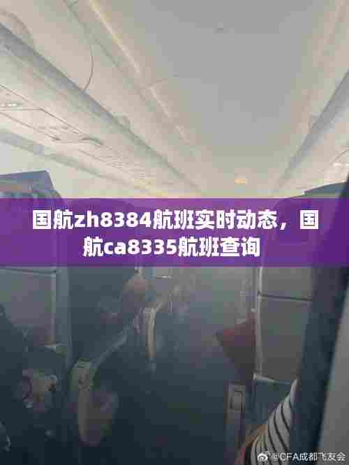国航zh8384航班实时动态，国航ca8335航班查询 