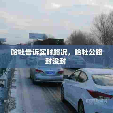 哈牡告诉实时路况，哈牡公路封没封 