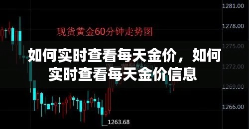 如何实时查看每天金价，如何实时查看每天金价信息 