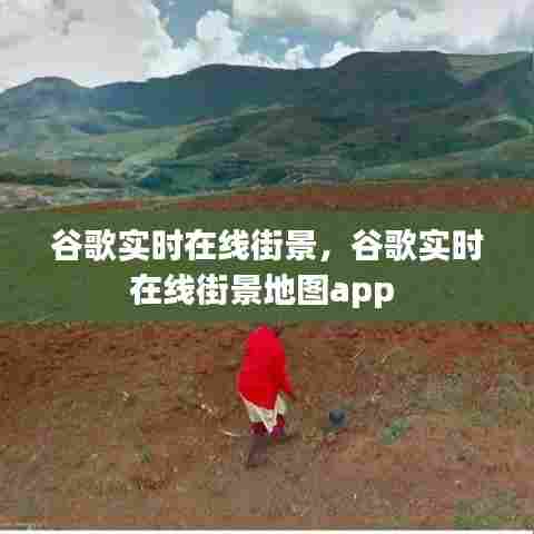 谷歌实时在线街景，谷歌实时在线街景地图app 