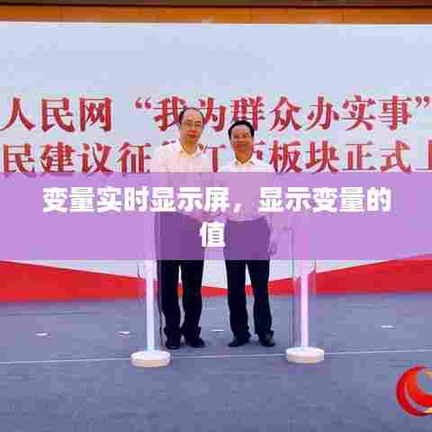 变量实时显示屏，显示变量的值 