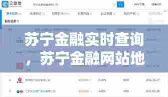 苏宁金融实时查询，苏宁金融网站地址 