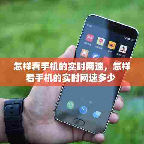 怎样看手机的实时网速，怎样看手机的实时网速多少 
