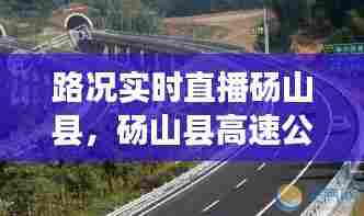 路况实时直播砀山县，砀山县高速公路封闭最新消息 