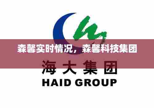 森馨实时情况，森馨科技集团 