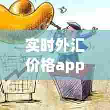 实时外汇价格app，外汇实时报价软件 