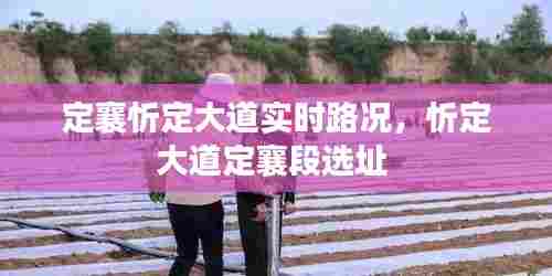 定襄忻定大道实时路况，忻定大道定襄段选址 