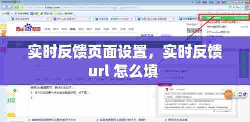 实时反馈页面设置，实时反馈url 怎么填 