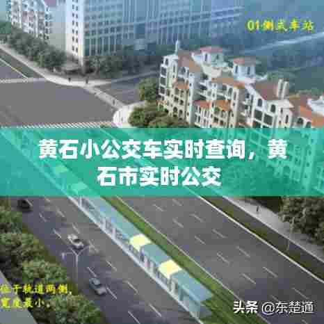 黄石小公交车实时查询，黄石市实时公交 
