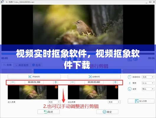 视频实时抠象软件，视频抠象软件下载 