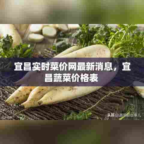 宜昌实时菜价网最新消息，宜昌蔬菜价格表 