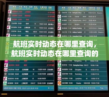 航班实时动态在哪里查询，航班实时动态在哪里查询的 