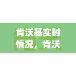 肯沃基实时情况，肯沃(上海)国际贸易有限公司 