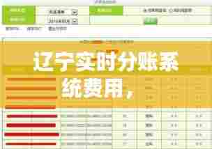 辽宁实时分账系统费用， 