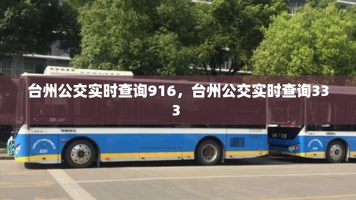 台州公交实时查询916，台州公交实时查询333 